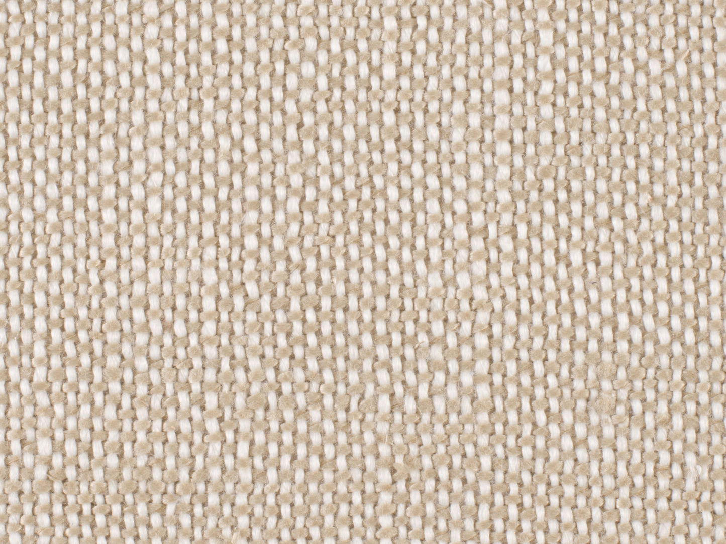 Archivist - Upholstered Arm Chair - Beige / Dark Brown