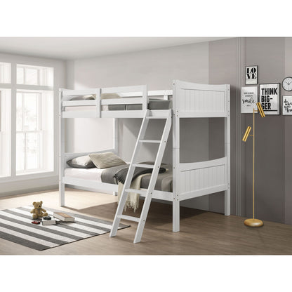 Sami - Bunk