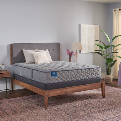 Crown Jewel - Sixth & Park Firm Tight Top Mattress