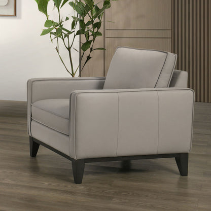 Aaron - Chair - Mist Gray