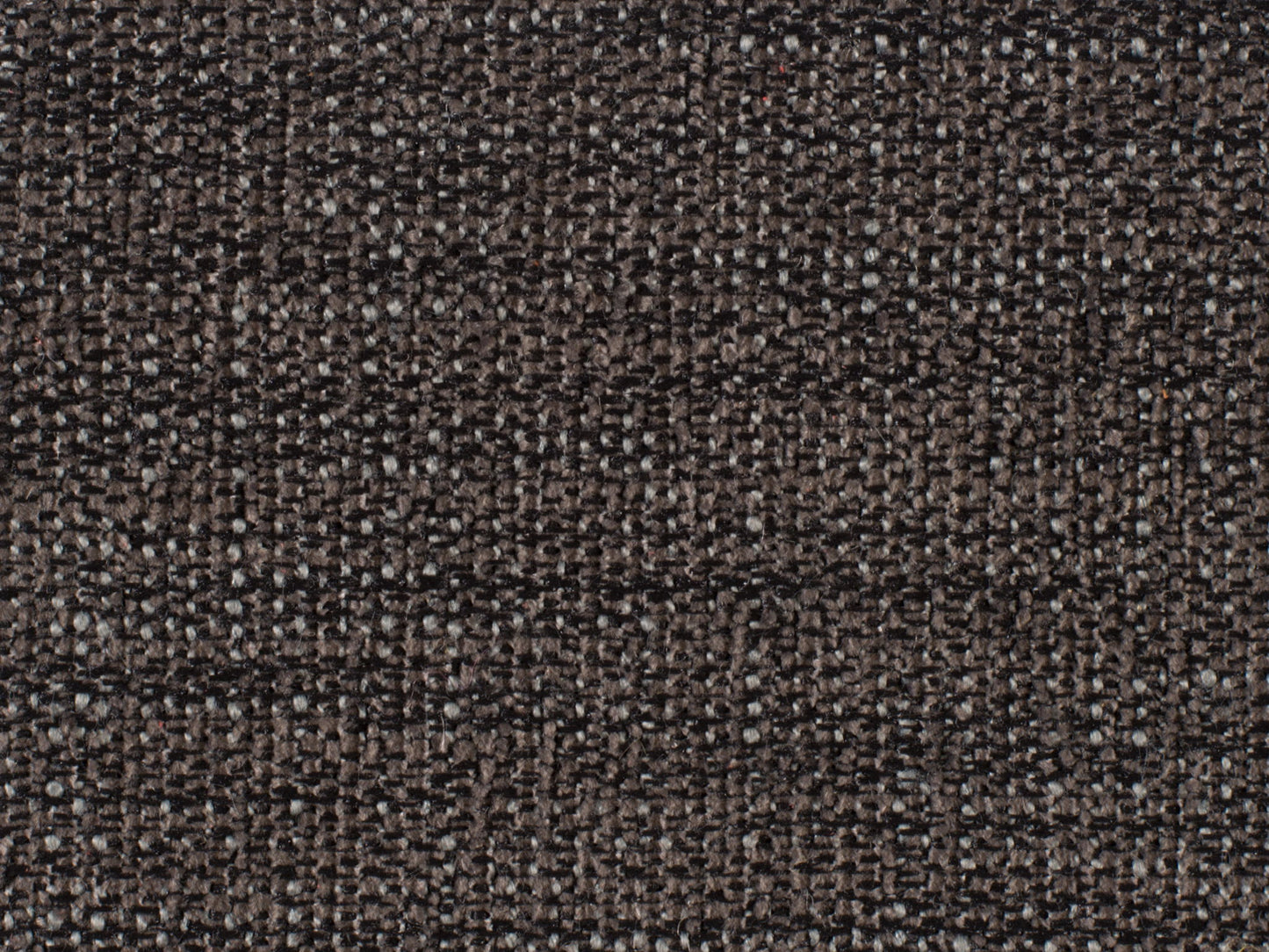 Curata - Upholstered Chair - Dark Gray / Dark Brown